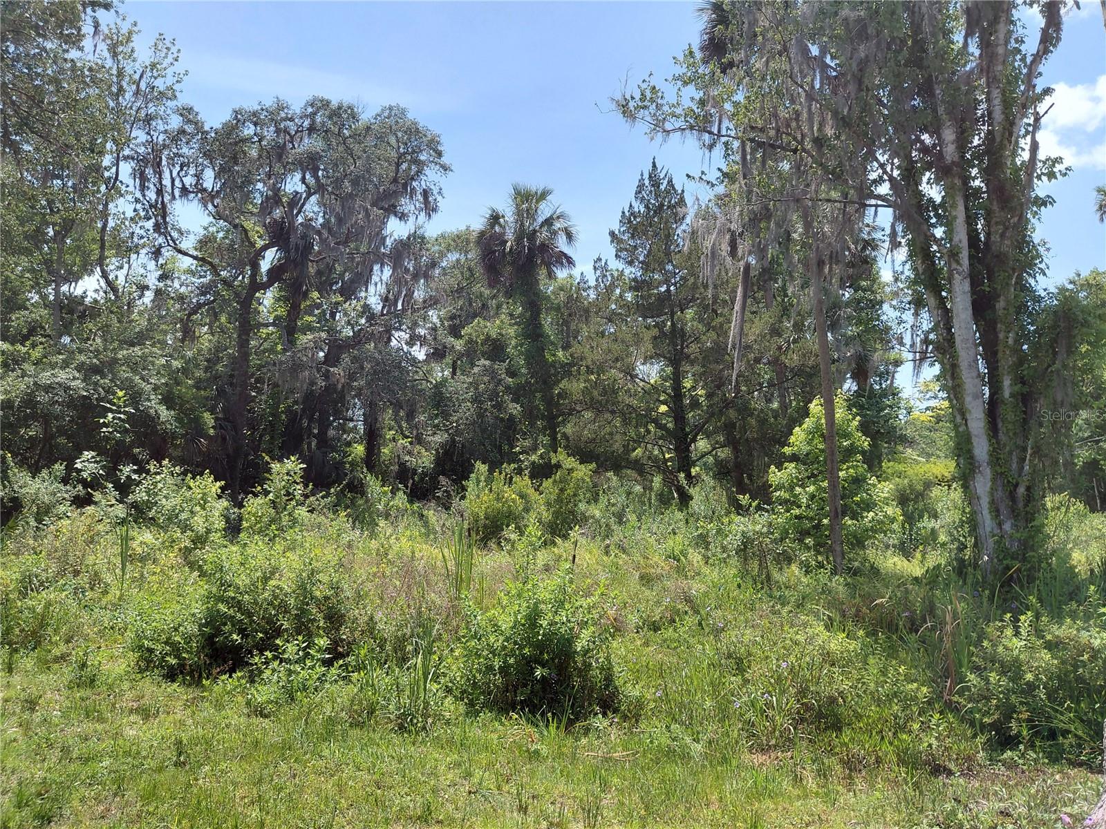 Image 6 of 8 For 23938 Bass Road