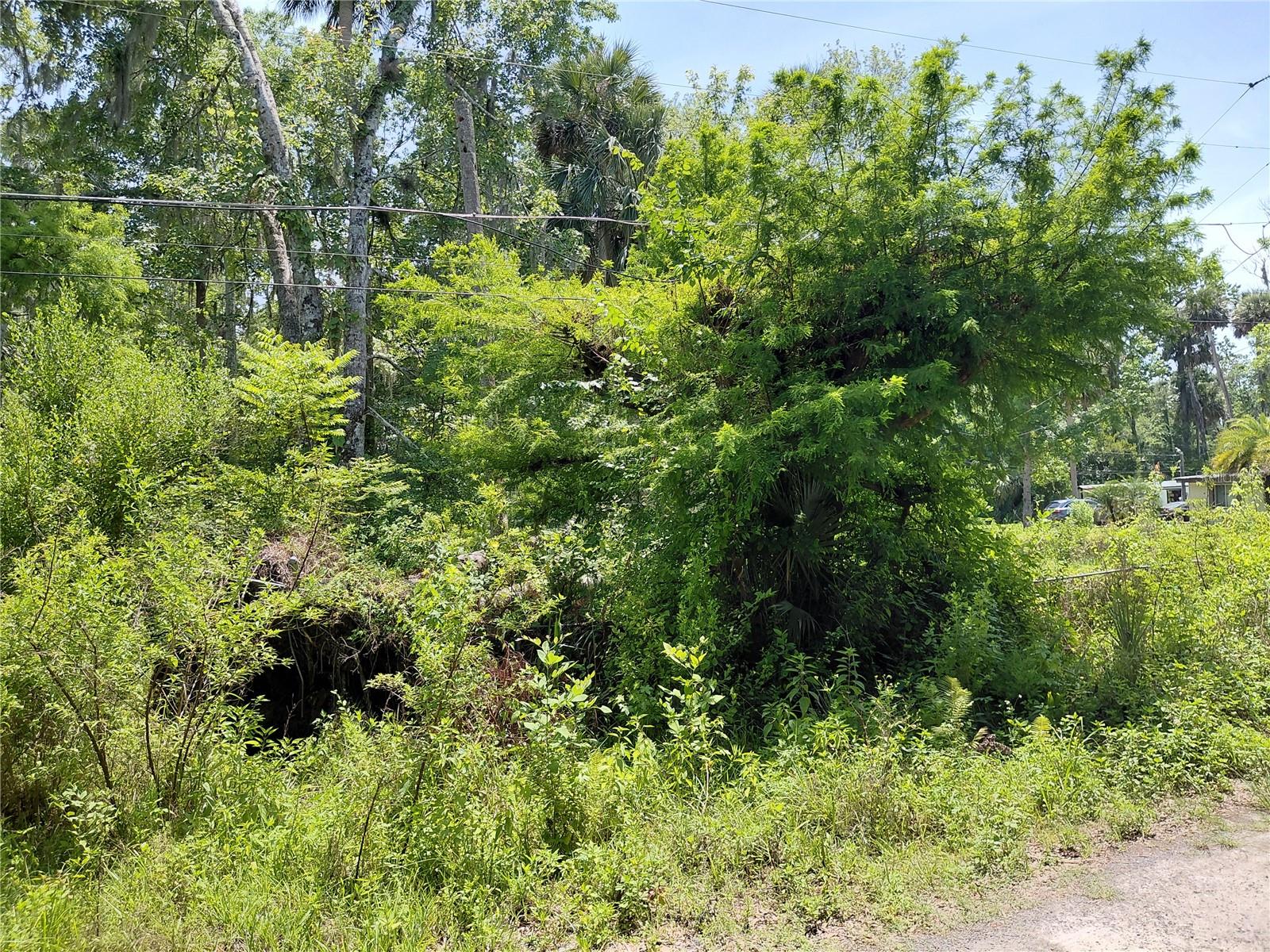 Image 7 of 8 For 23938 Bass Road