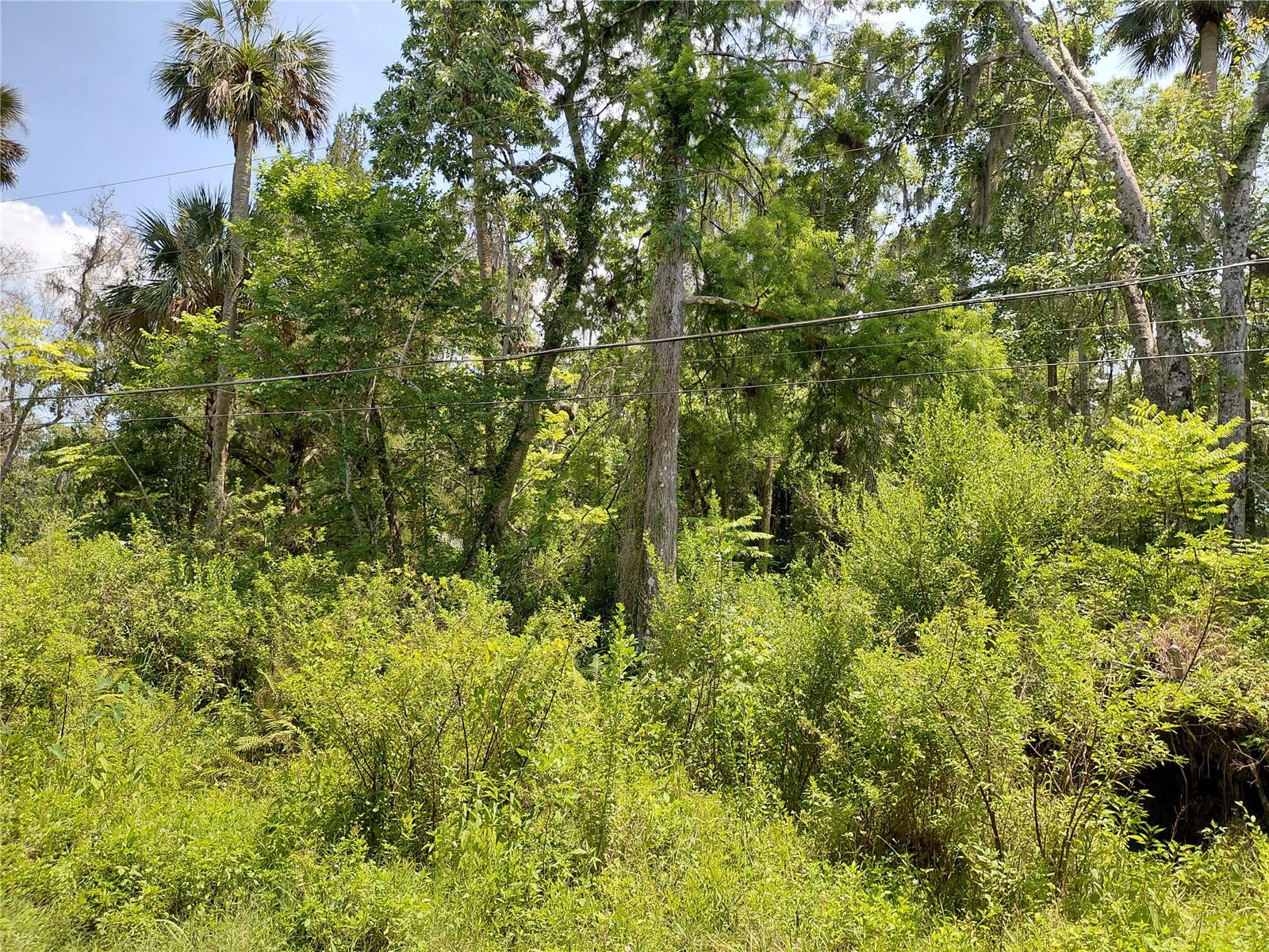 Image 8 of 8 For 23938 Bass Road