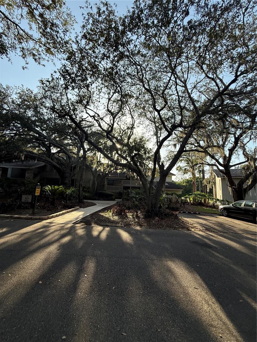 Image 35 of 35 For 821 Pinewood Court 821
