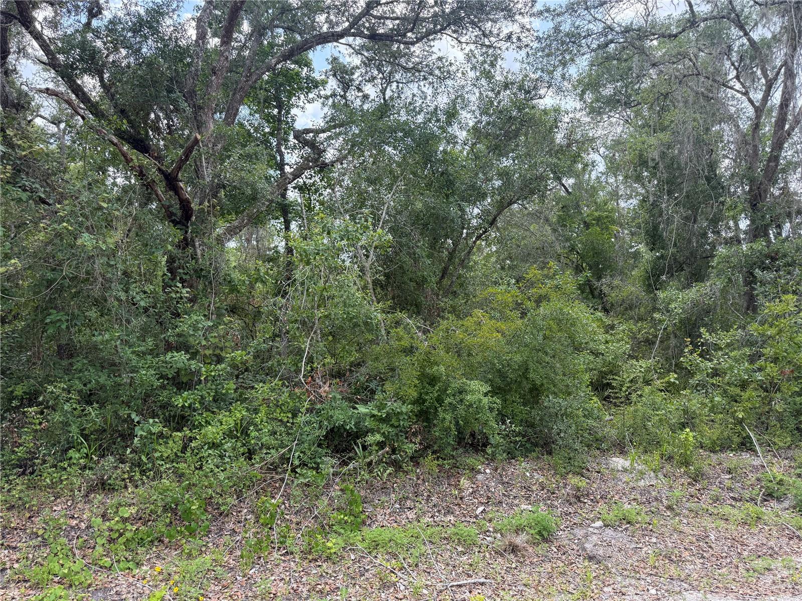 Details for 7419 Southeast Avenue, WEBSTER, FL 33597