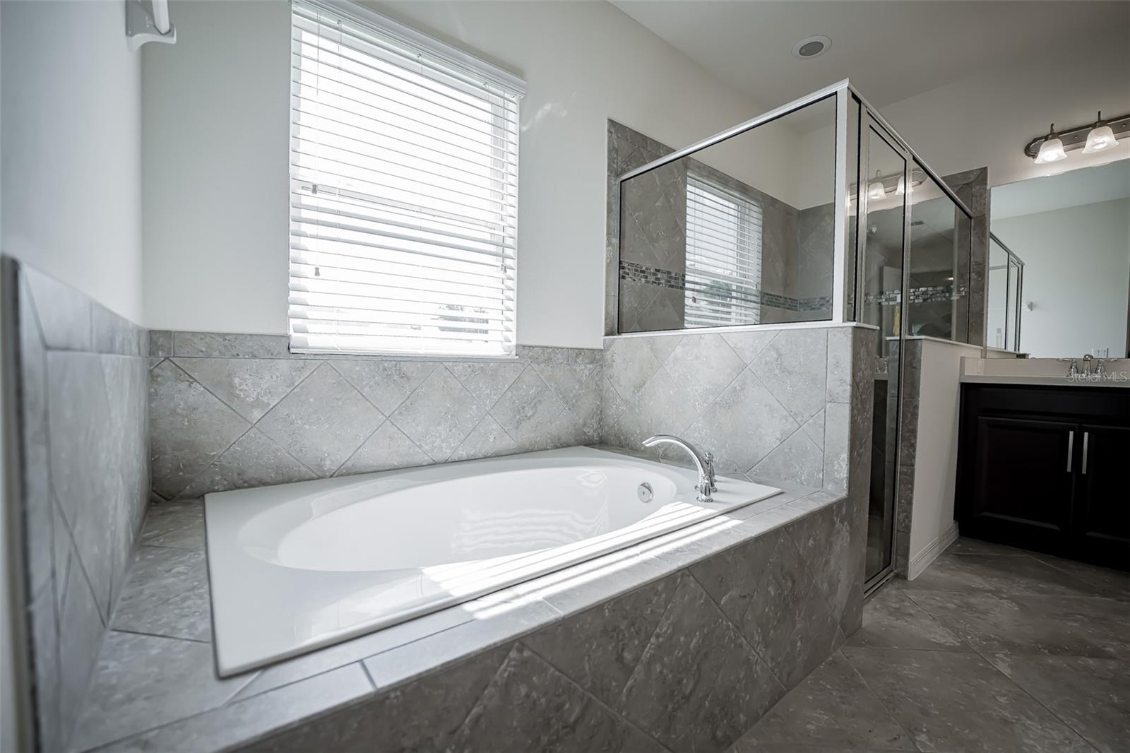 Image 61 of 68 For 14572 Black Quill Drive