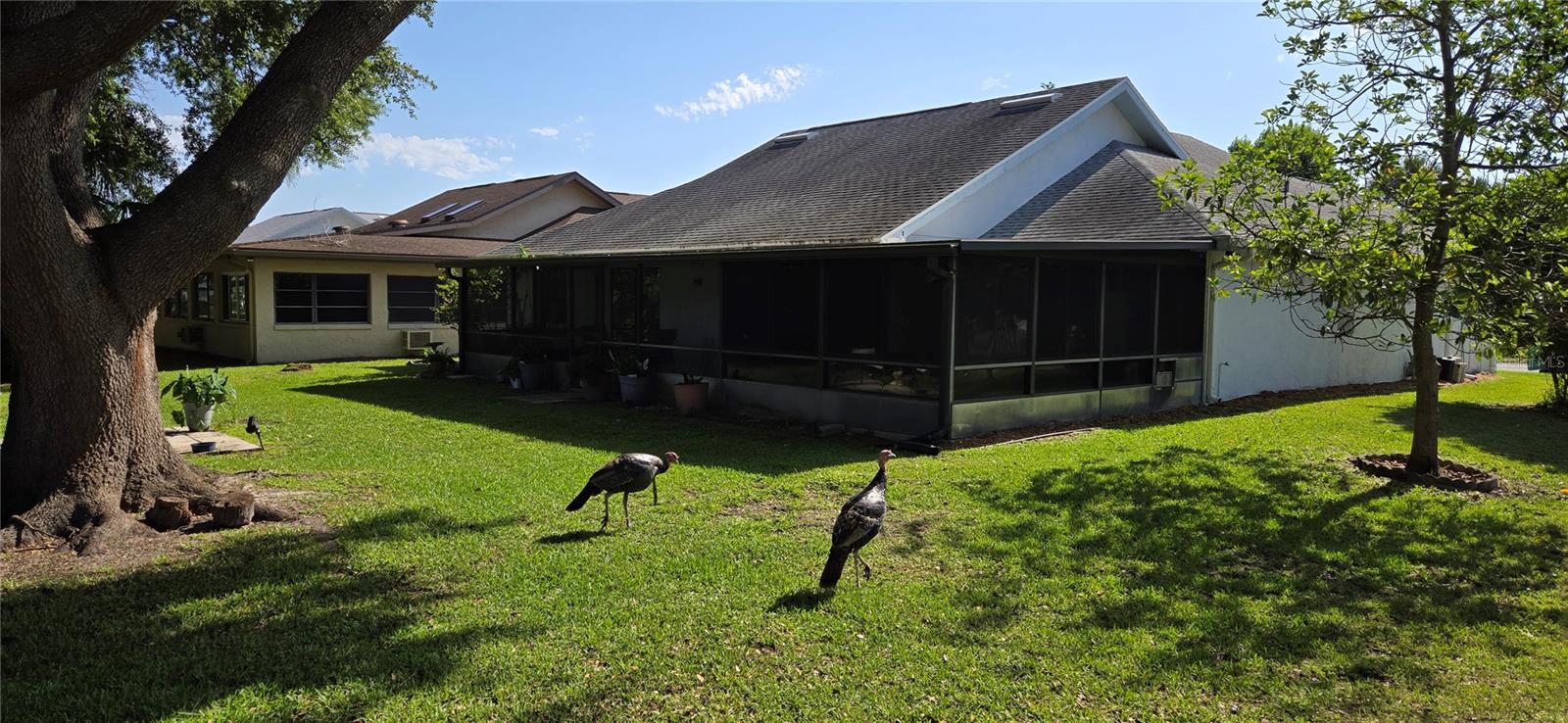 Image 4 of 28 For 11818 Sophia Lane
