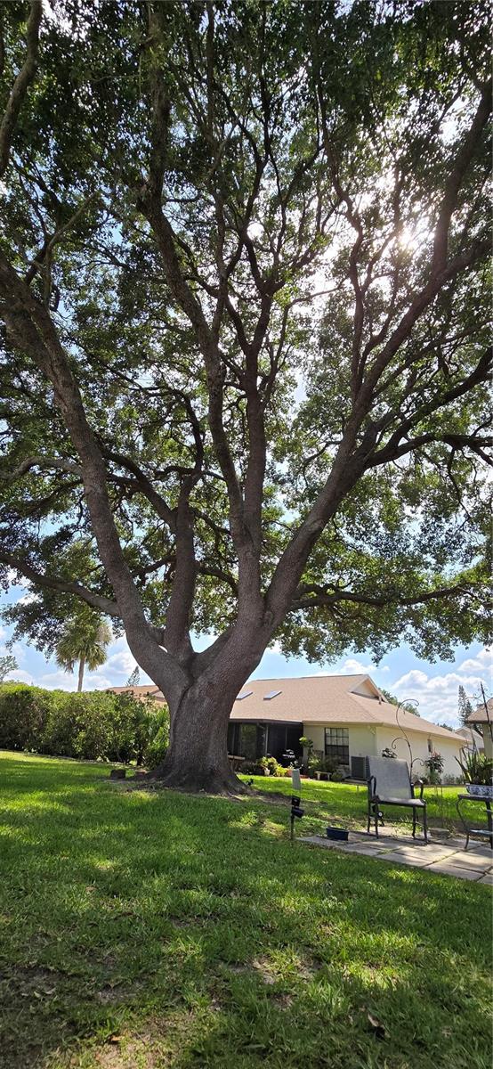 Image 6 of 28 For 11818 Sophia Lane