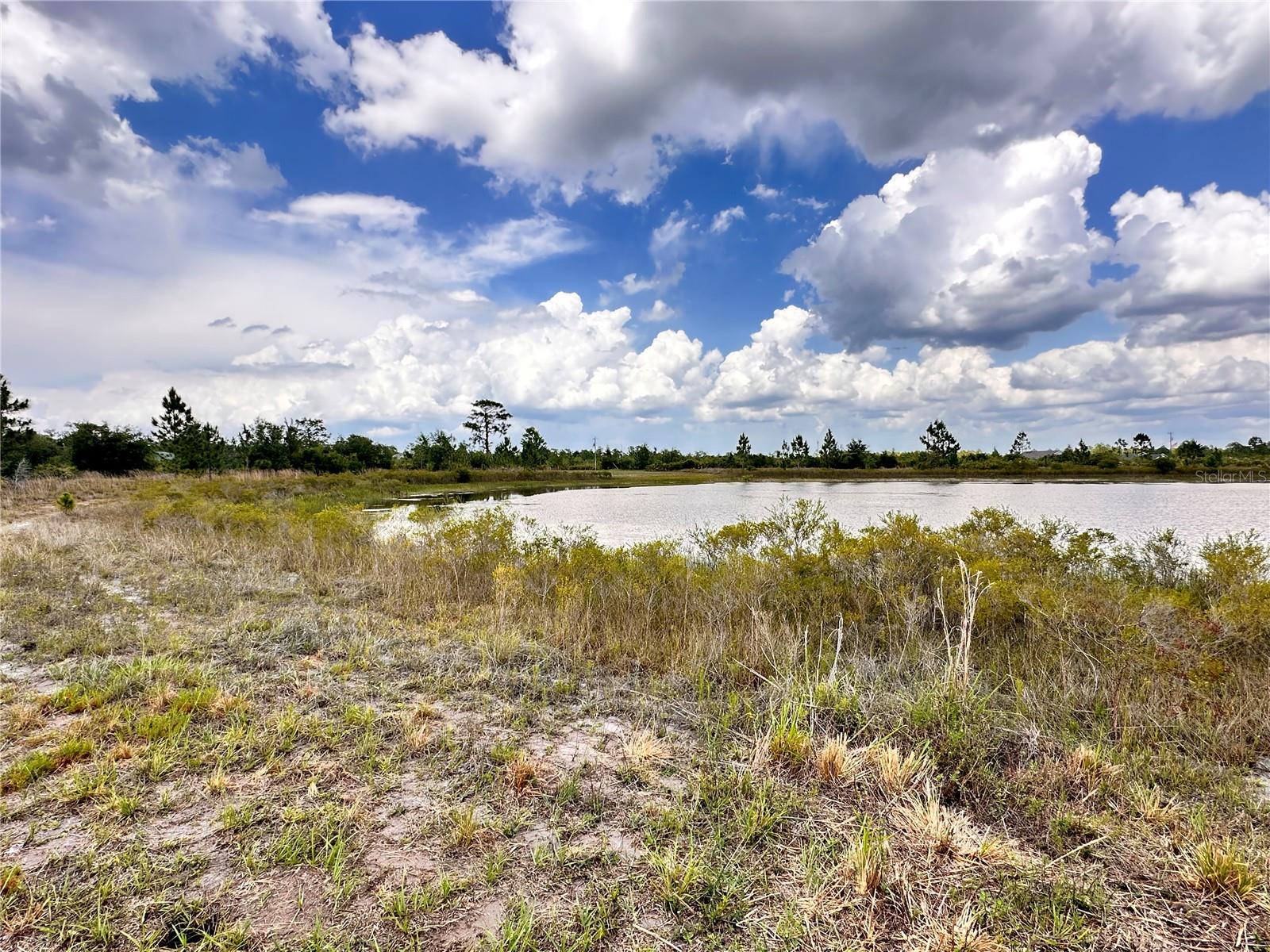 Image 3 of 33 For Deland Avenue