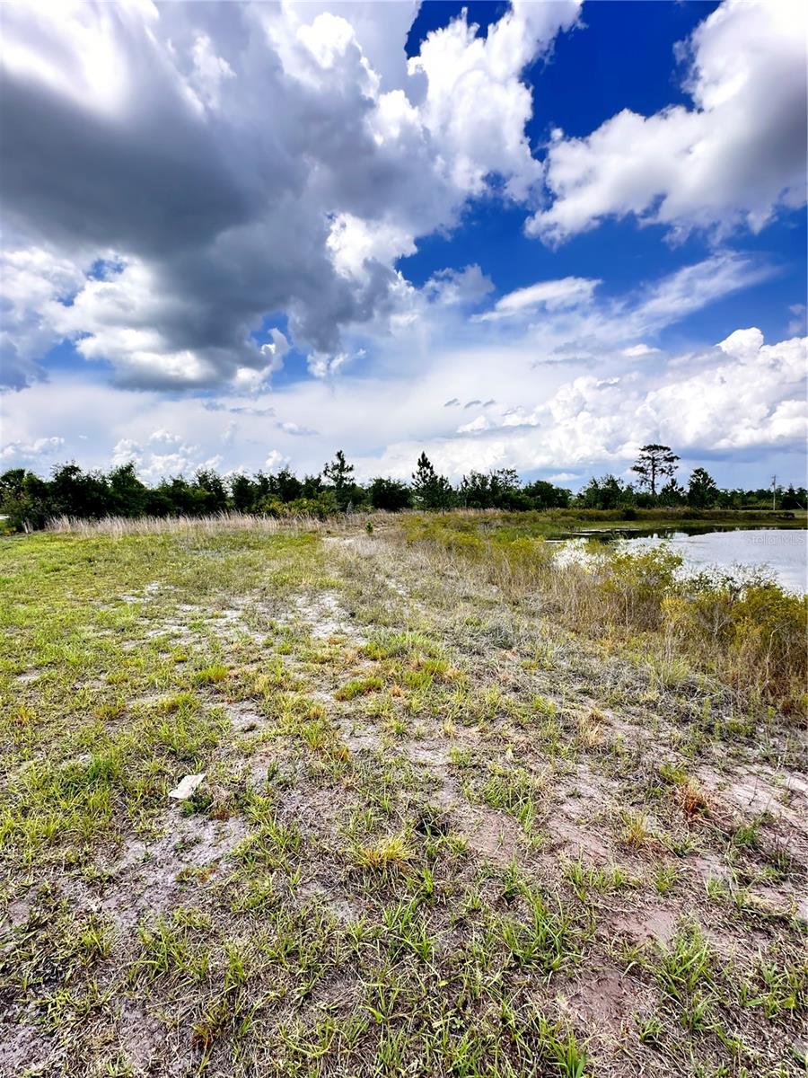 Image 4 of 33 For Deland Avenue