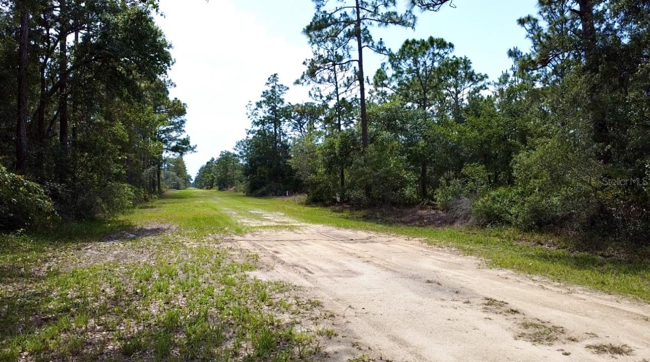 Image 6 of 20 For 514 Indian Lake Drive
