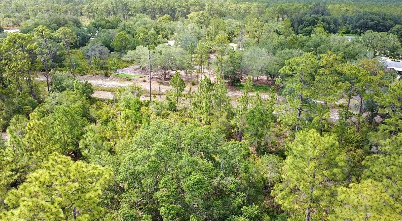 Image 9 of 20 For 514 Indian Lake Drive
