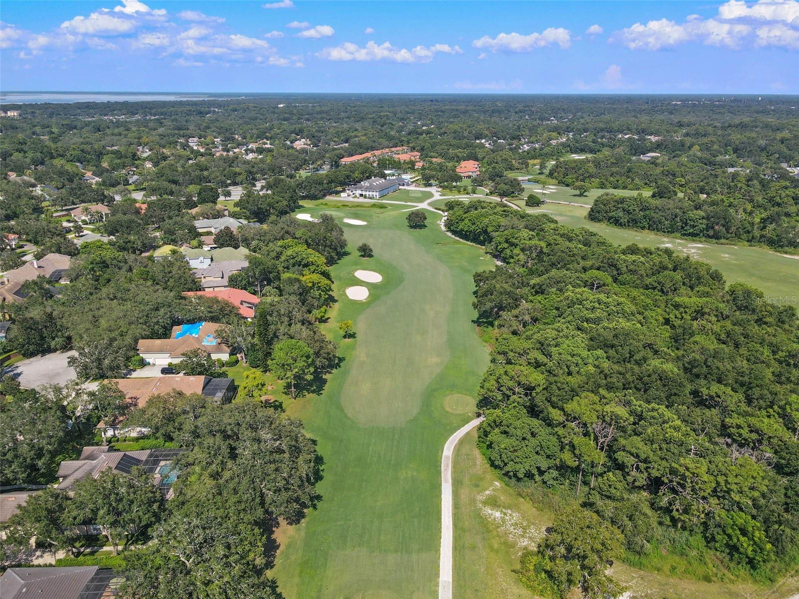 Listing photo id 51 for 1390 Yellow Pine Court