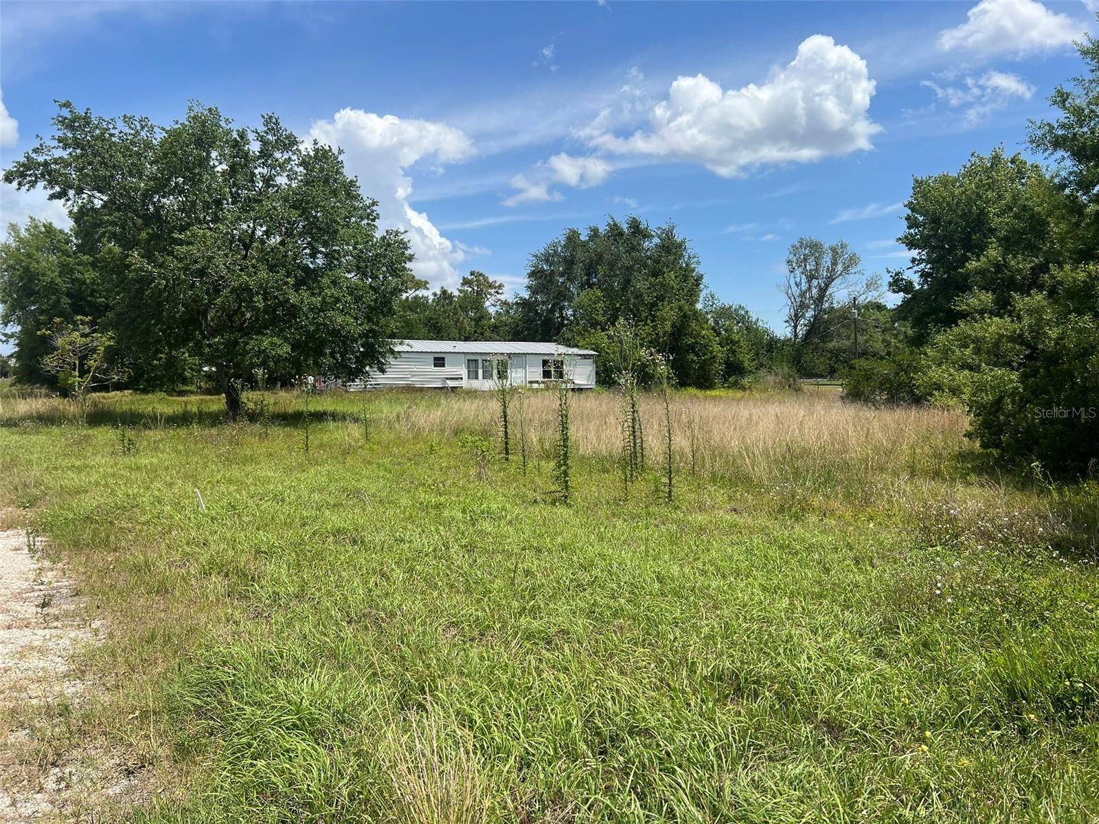 Image 4 of 6 For Freedom Road