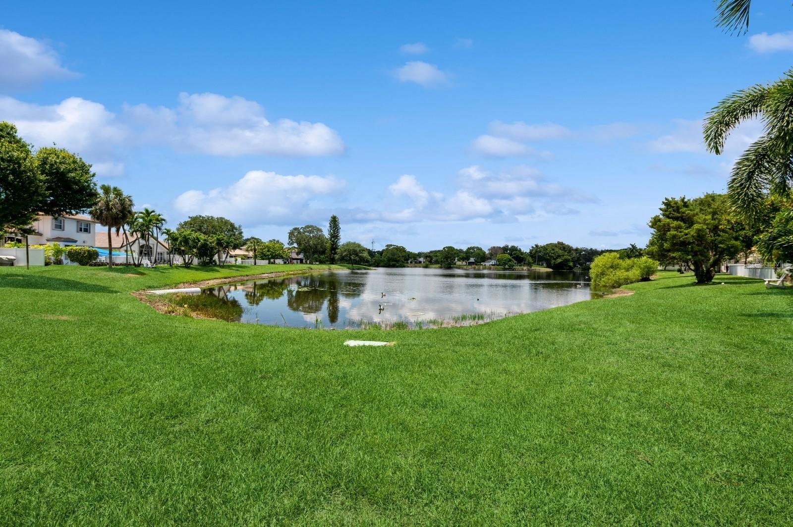 Image 2 of 41 For 7886 Manor Forest Boulevard
