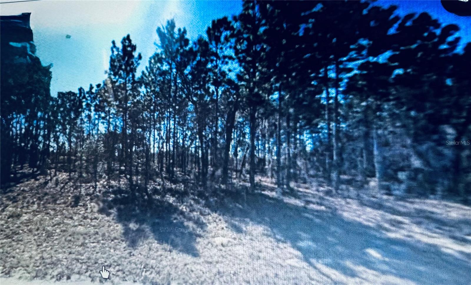Details for  Marion Oaks  , OCALA, FL 34473