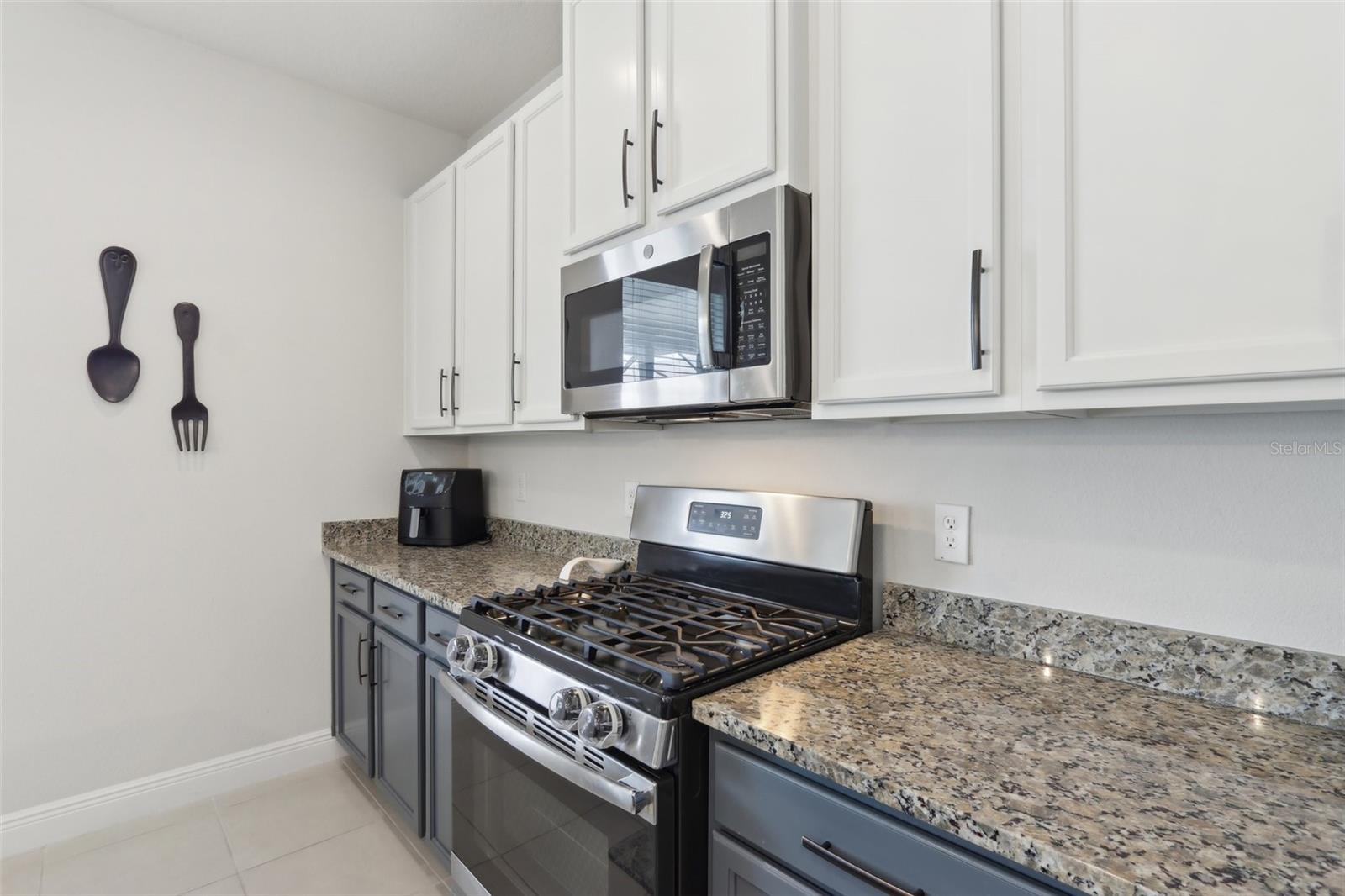 Image 13 of 42 For 1450 Chelsea Manor Circle