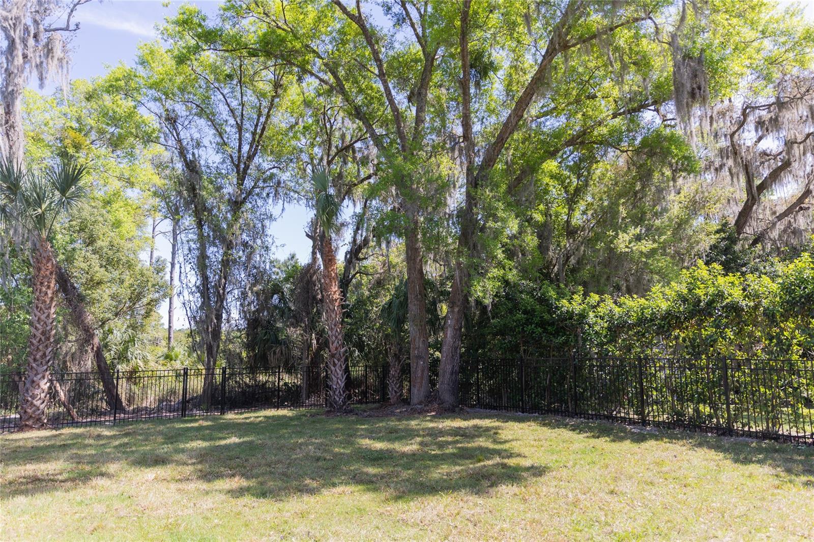 Image 17 of 17 For 620 Fern Street