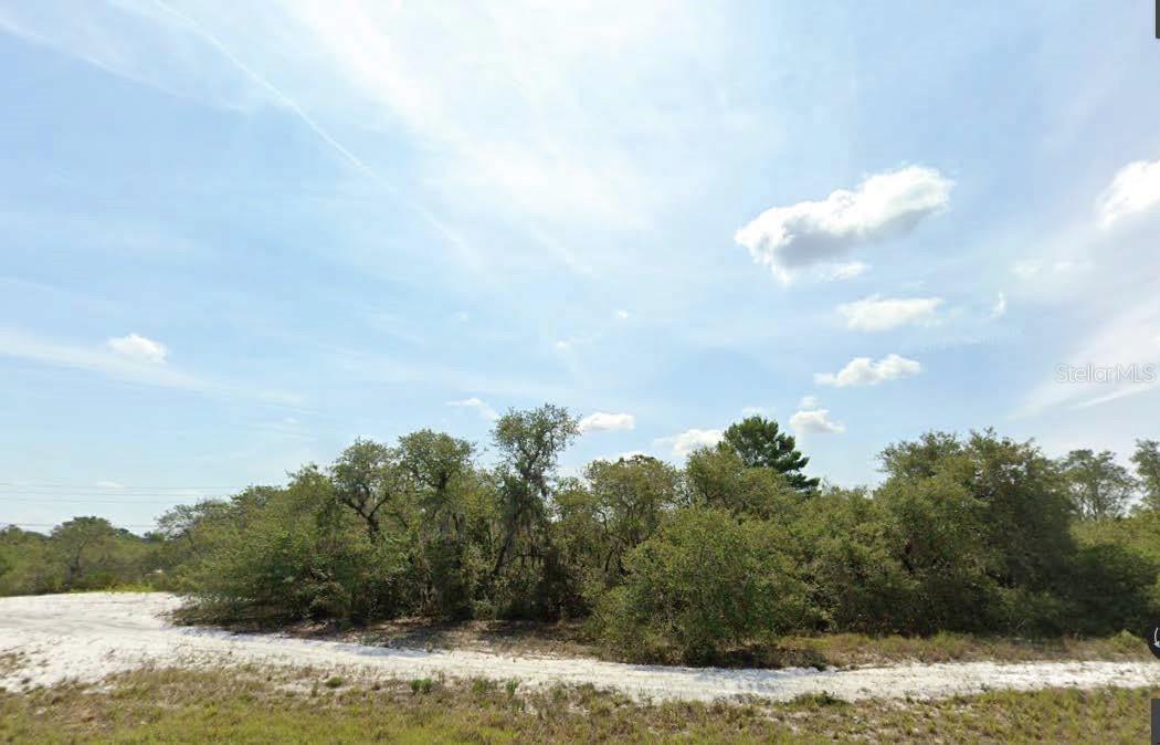 Listing Details for Washington Street, LAKE WALES, FL 33859