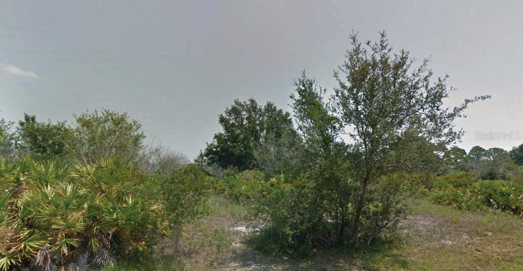 Listing Details for 113 Edenwald Avenue Nw, LAKE PLACID, FL 33852