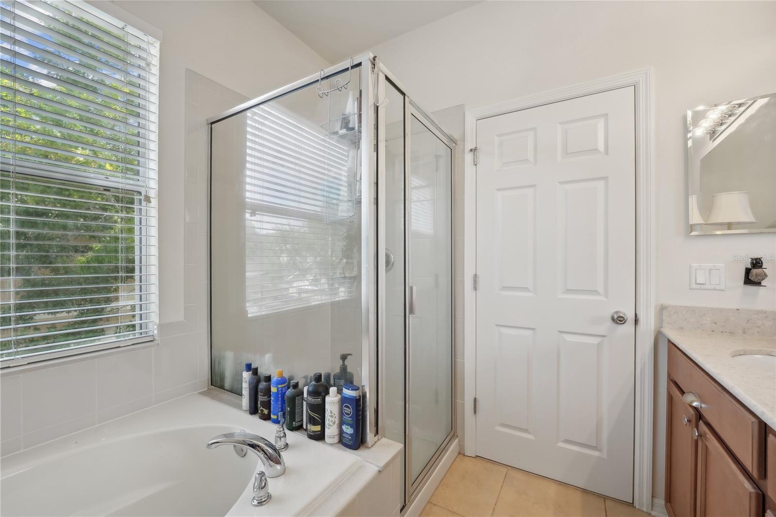 Image 17 of 60 For 14025 Oasis Springs Lane 901