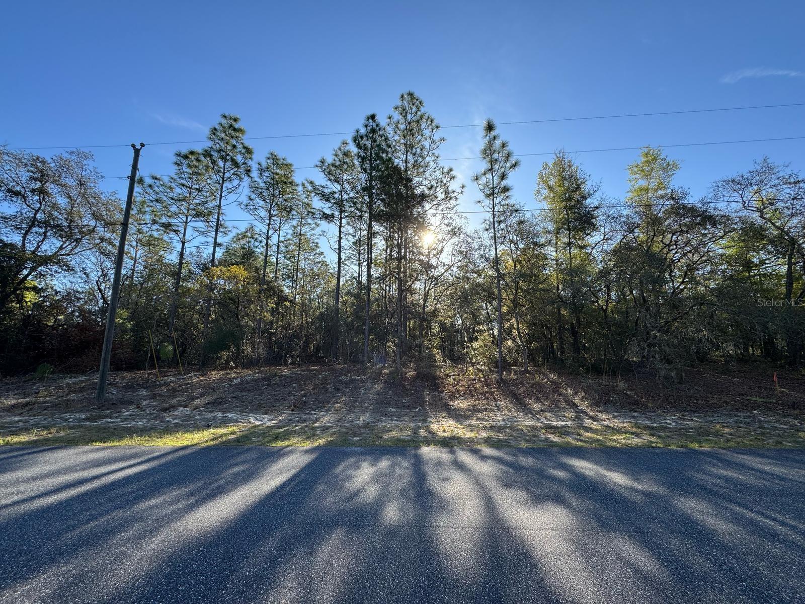 Details for 8161 Triana Drive, CITRUS SPRINGS, FL 34434