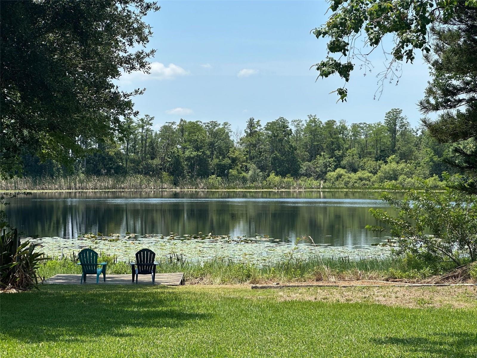Details for 2028 Lake Christie Drive, ORLANDO, FL 32809