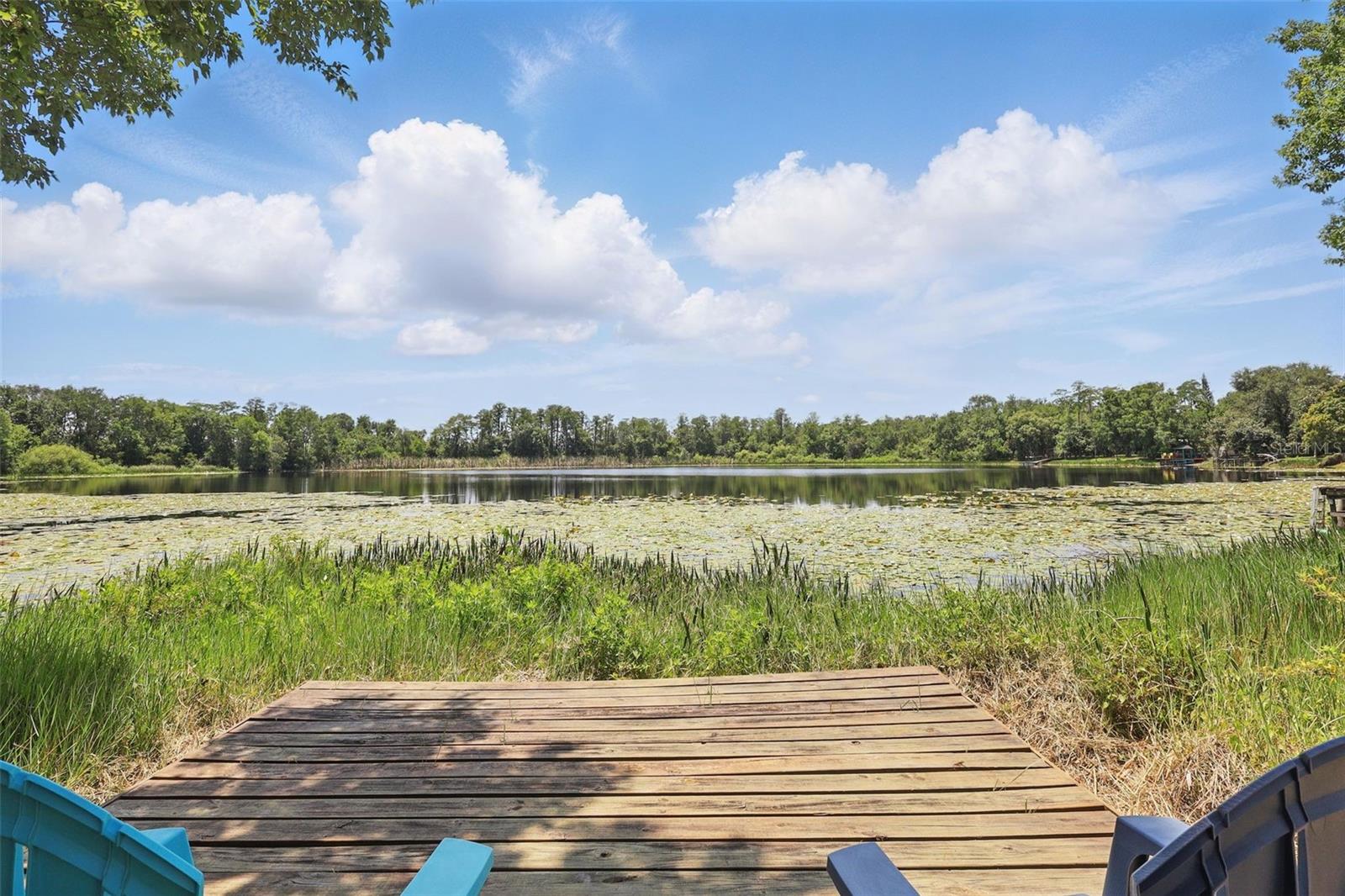 Image 47 of 49 For 2028 Lake Christie Drive