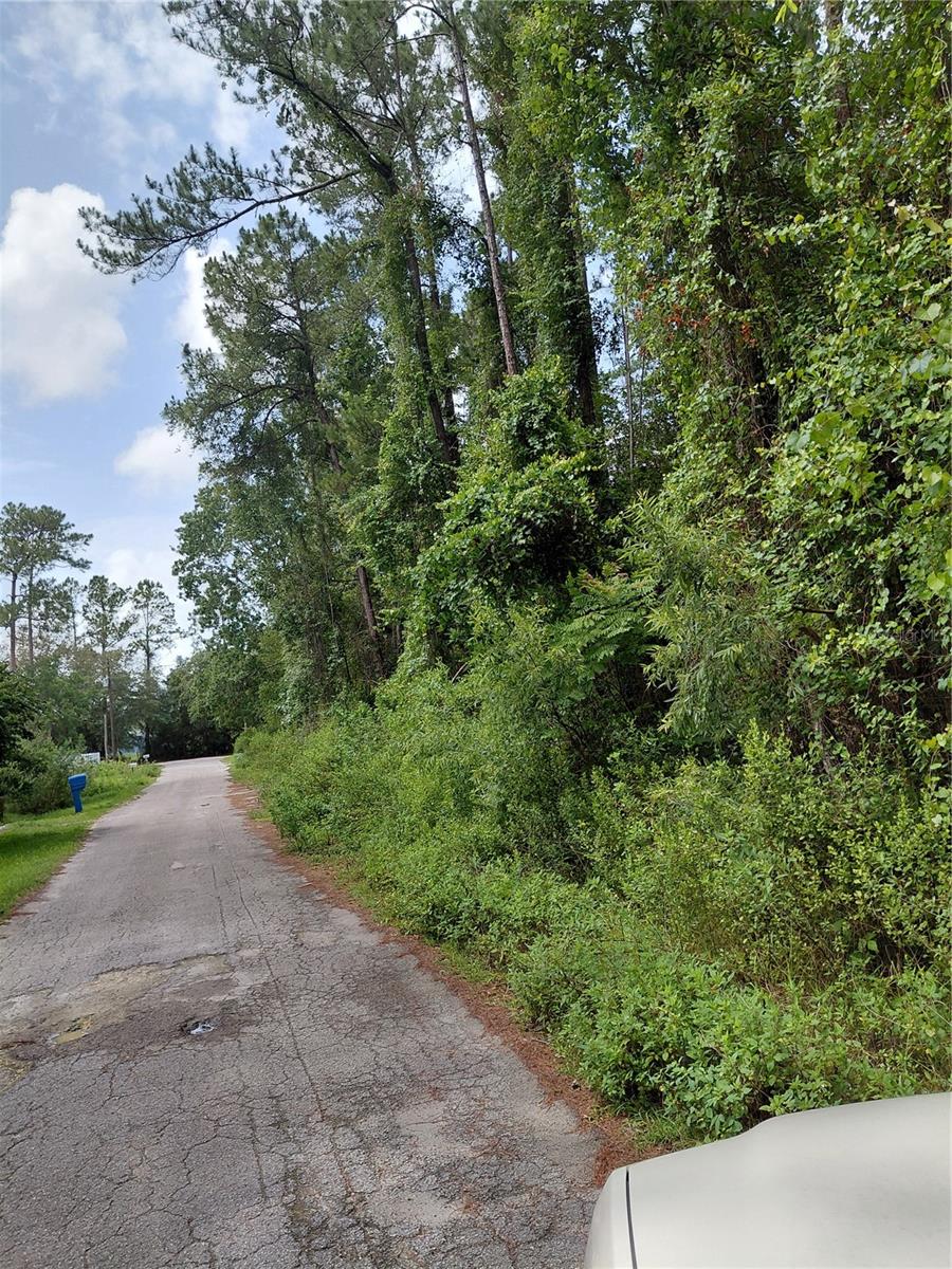 Details for James Street, ASTOR, FL 32102