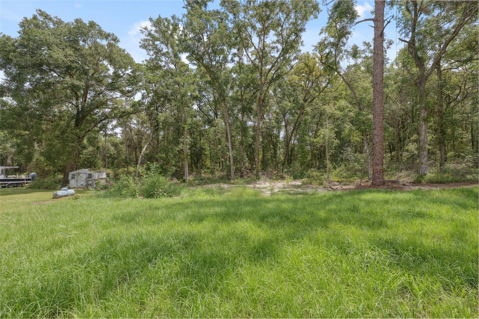 Listing photo id 29 for 10089 Athenia Drive