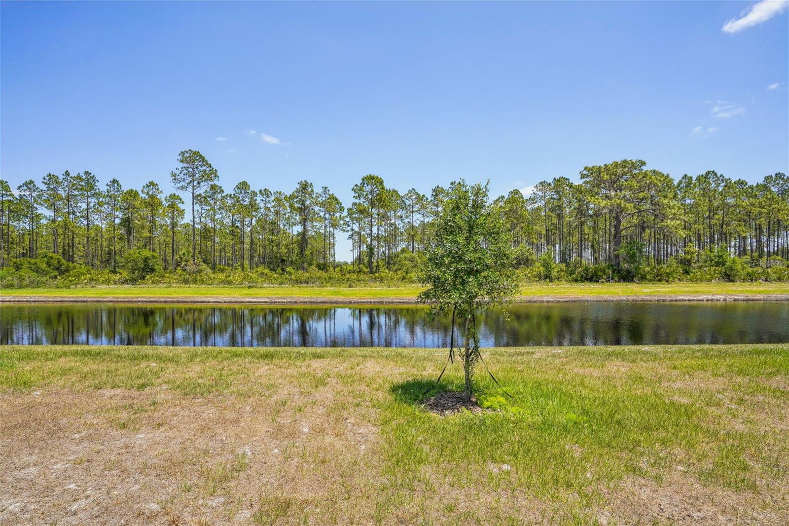 Image 29 of 35 For 3210 Viceroy Court