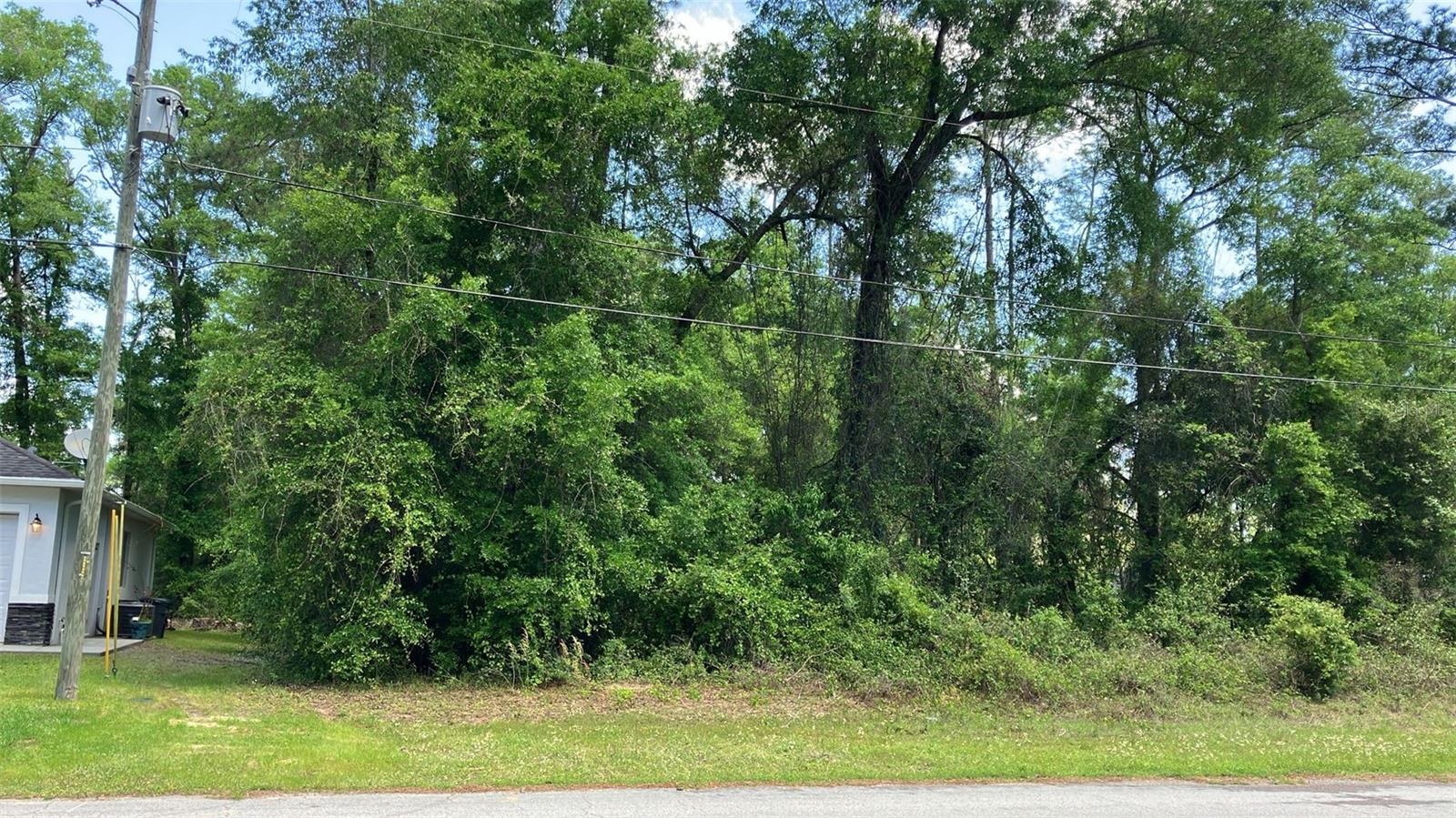 Image 2 of 2 For 9951 Athenia Drive