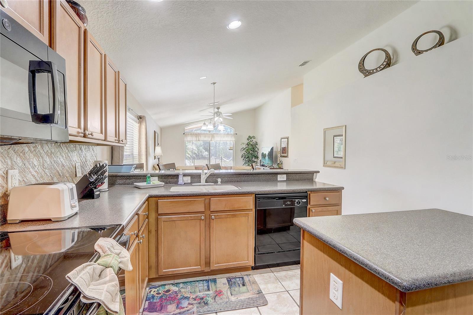 Image 8 of 63 For 927 Orange Cosmos Boulevard