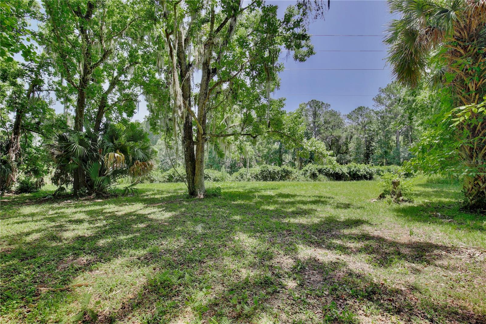 Image 8 of 32 For 195 Parsons Road