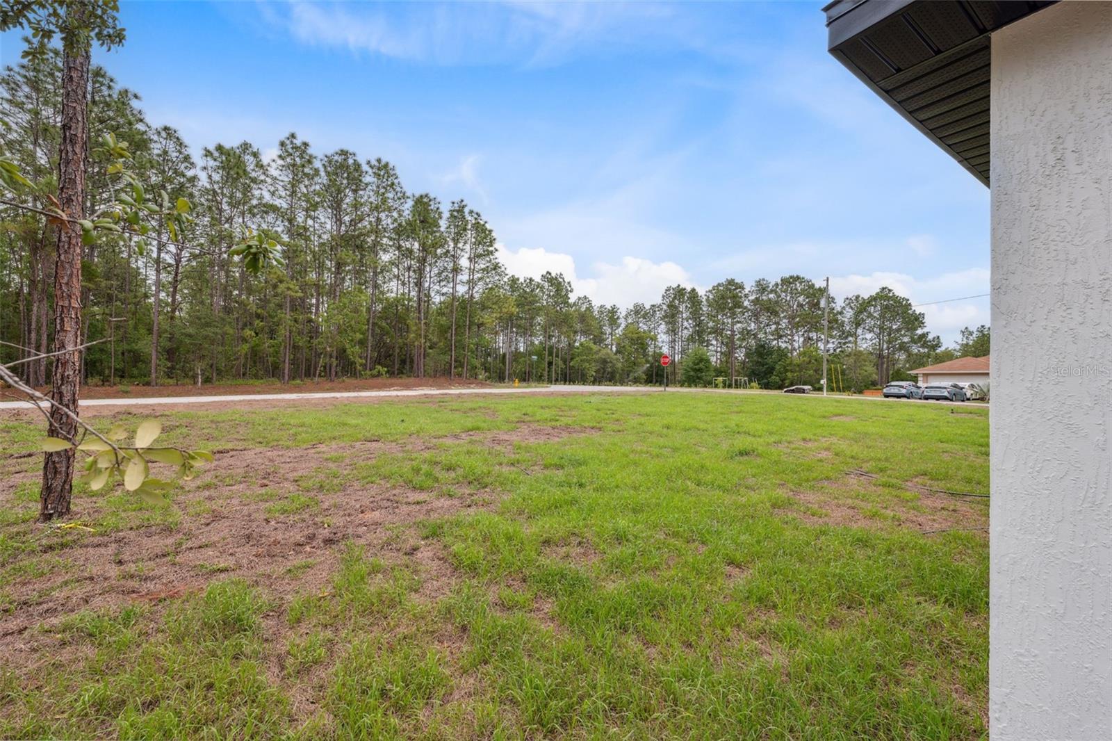 Listing photo id 37 for 2565 Laredo Drive