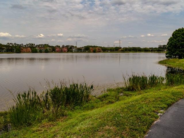 Image 11 of 11 For 9584 Lake Chase Island Way 958