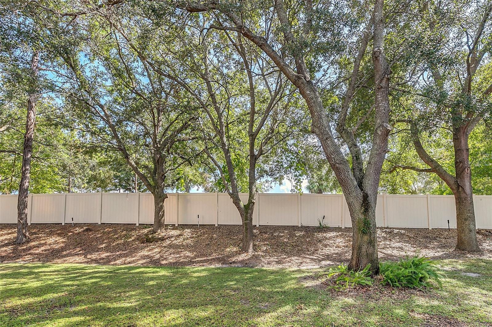 Image 23 of 26 For 221 Sterling Springs Lane