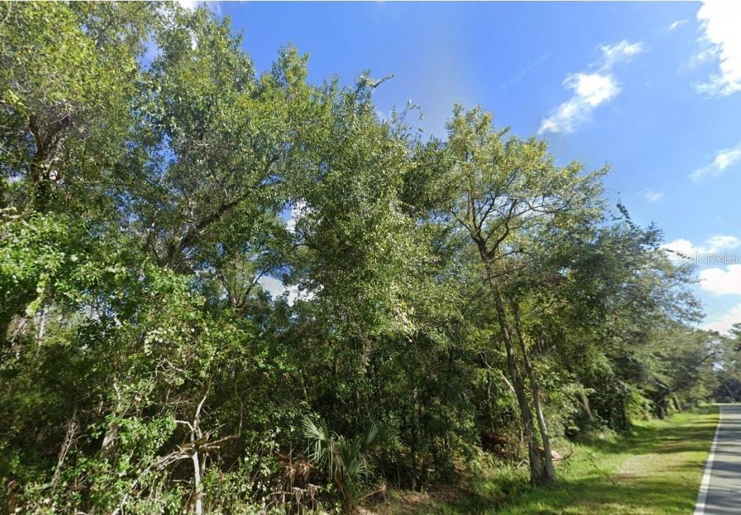 Details for 000 Old Kissimmee Road, DAVENPORT, FL 33896