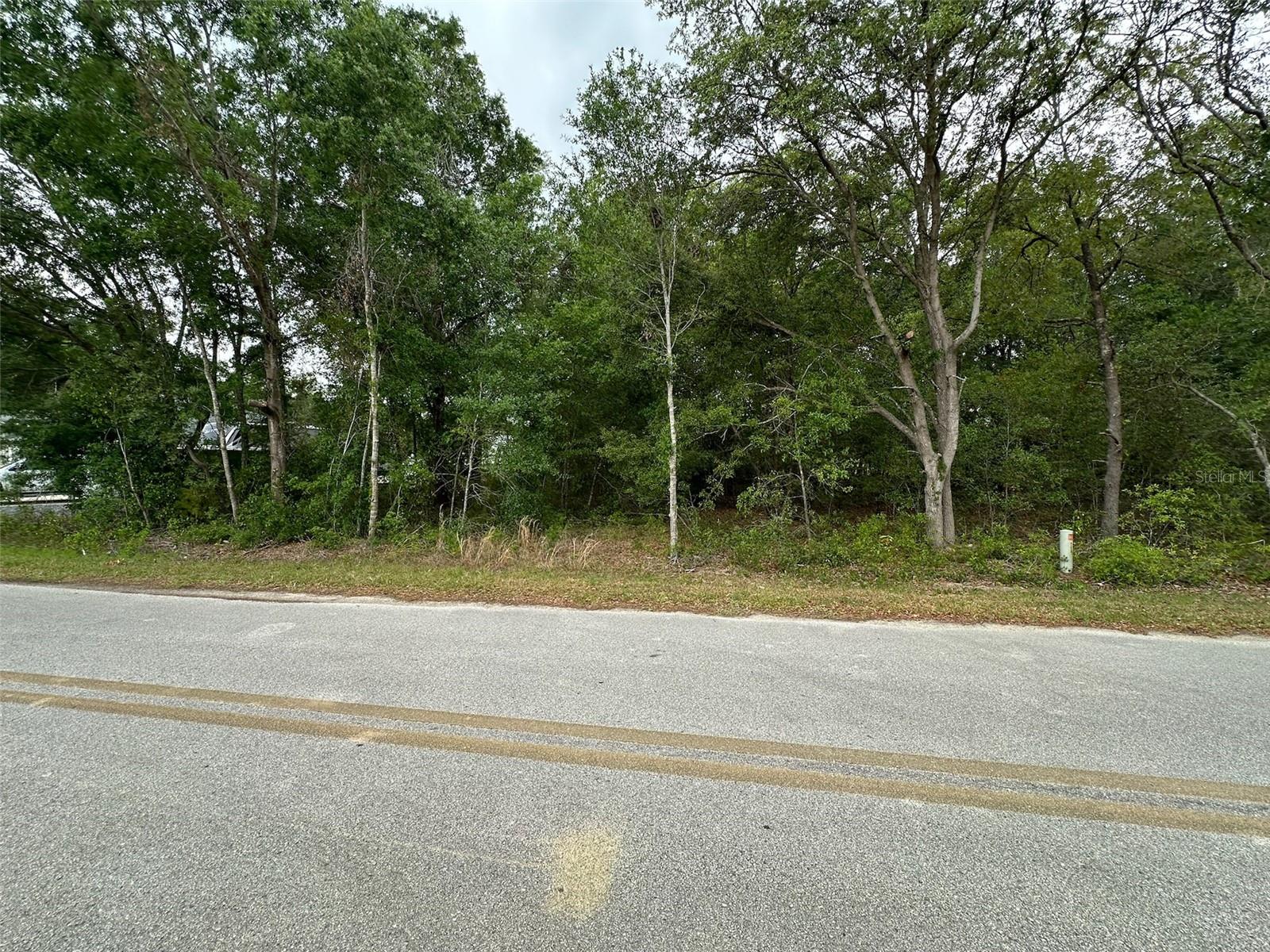 Details for Se 86th Court, BELLEVIEW, FL 34420