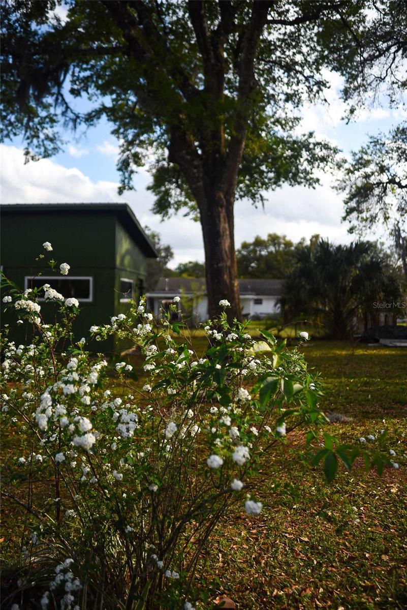 Image 34 of 43 For 748 Florence Avenue