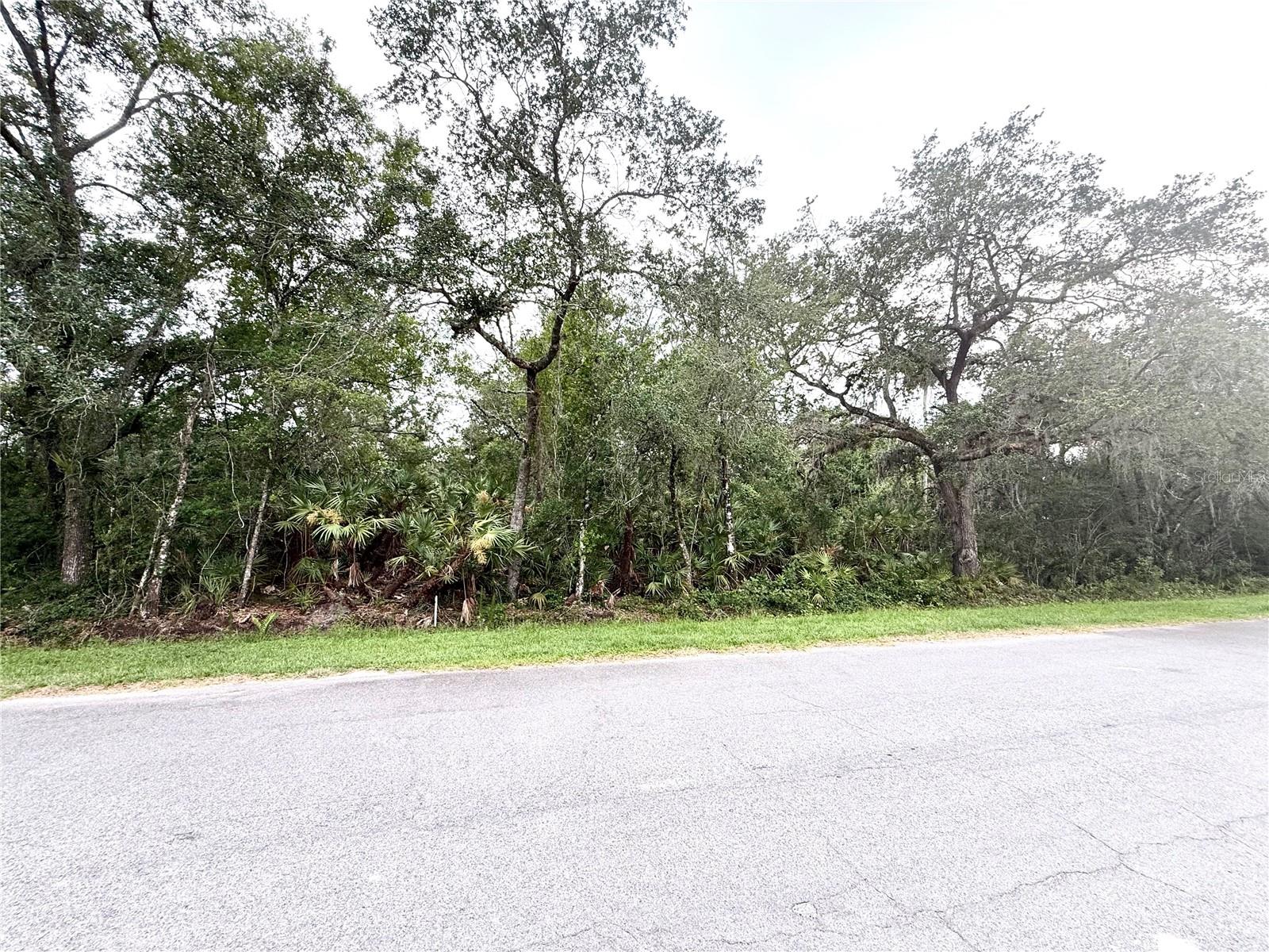 Details for Sarmundham Street, ORLANDO, FL 32833