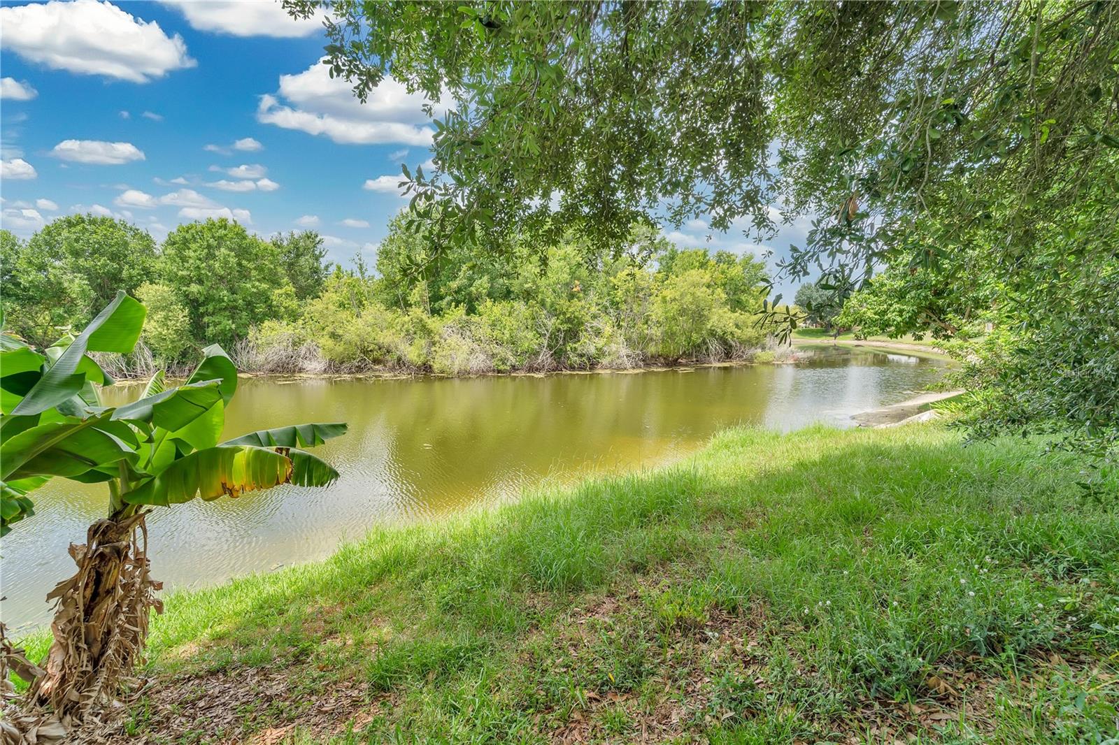 Image 23 of 41 For 22802 Roderick Drive