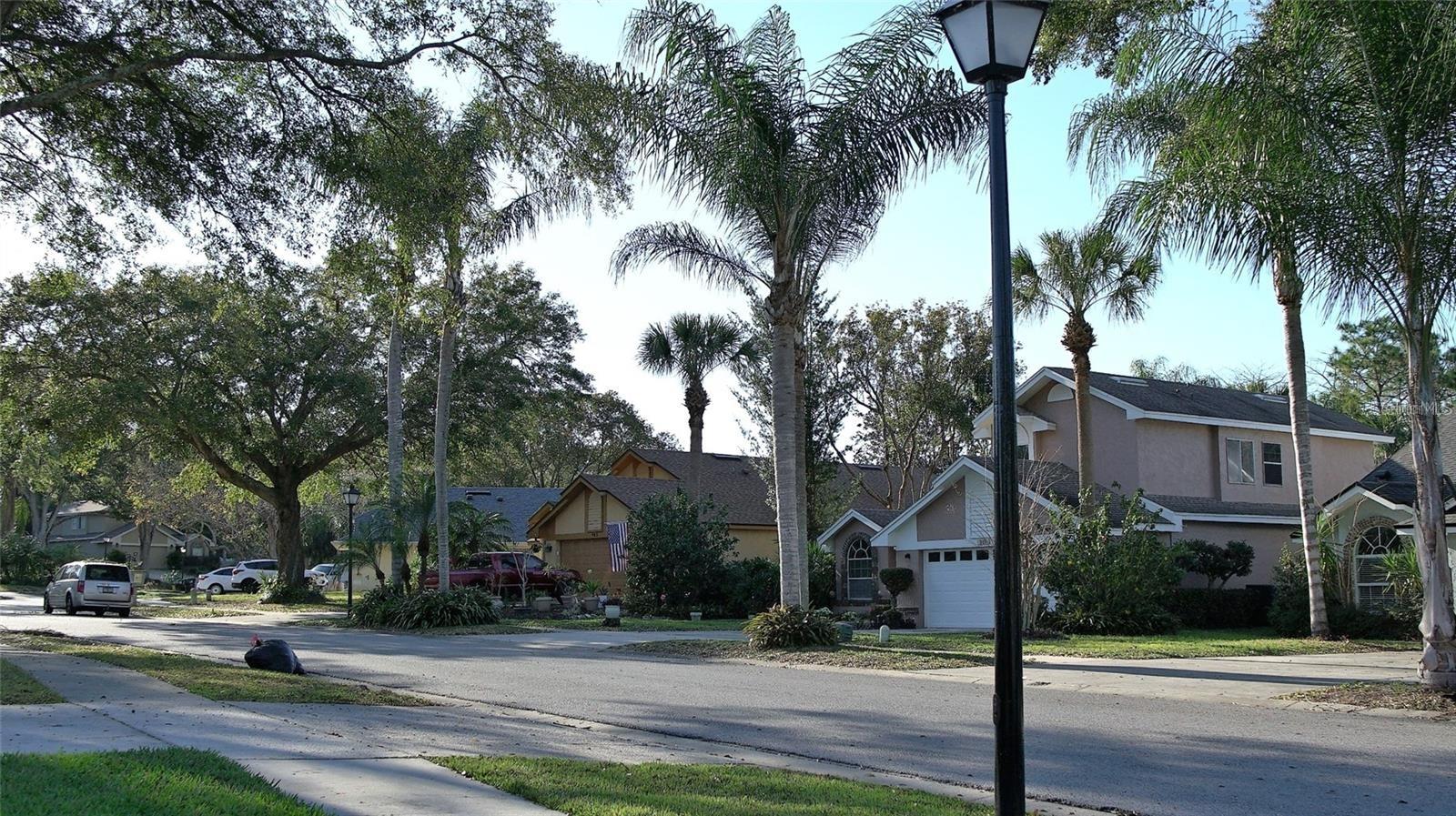 Image 12 of 12 For 972 Summer Lakes Drive