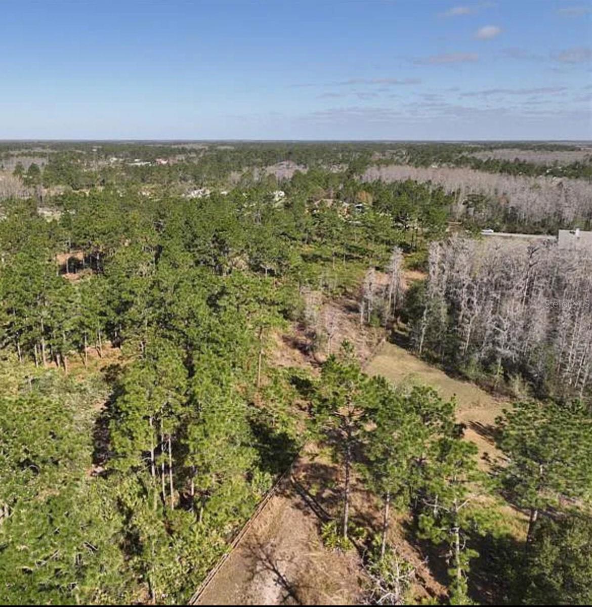 Image 5 of 6 For Sabal Street