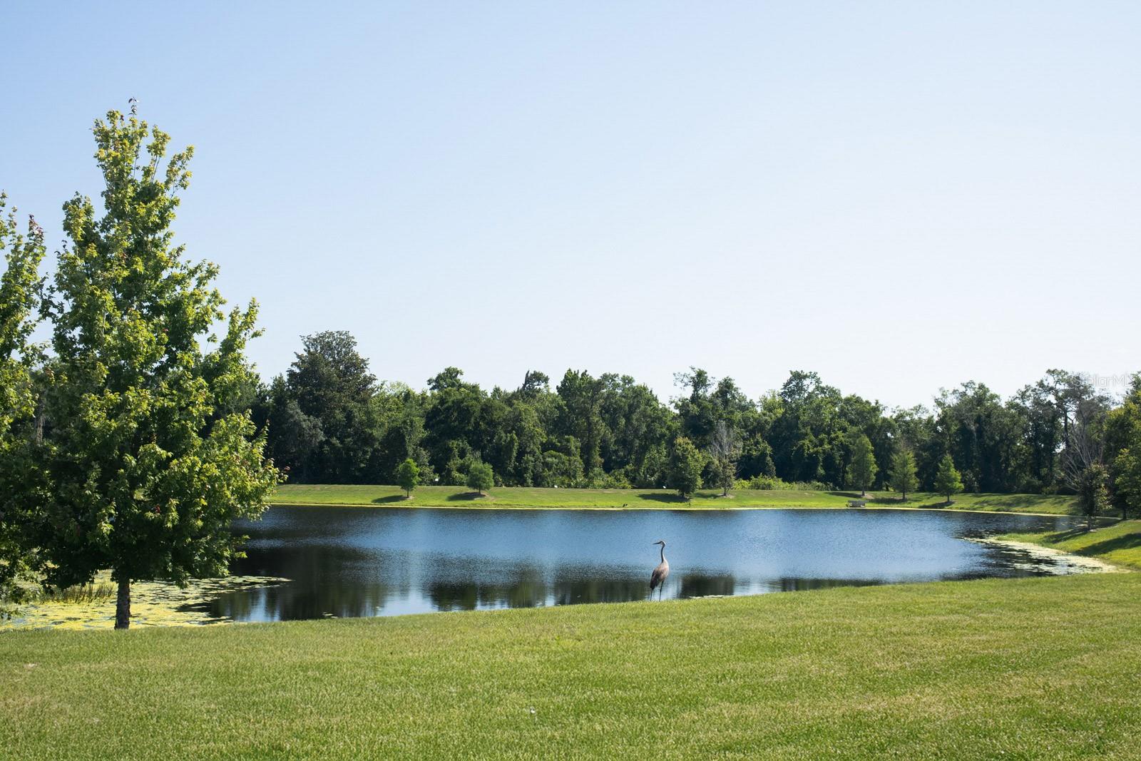 Image 6 of 38 For 5161 Kingwell Circle