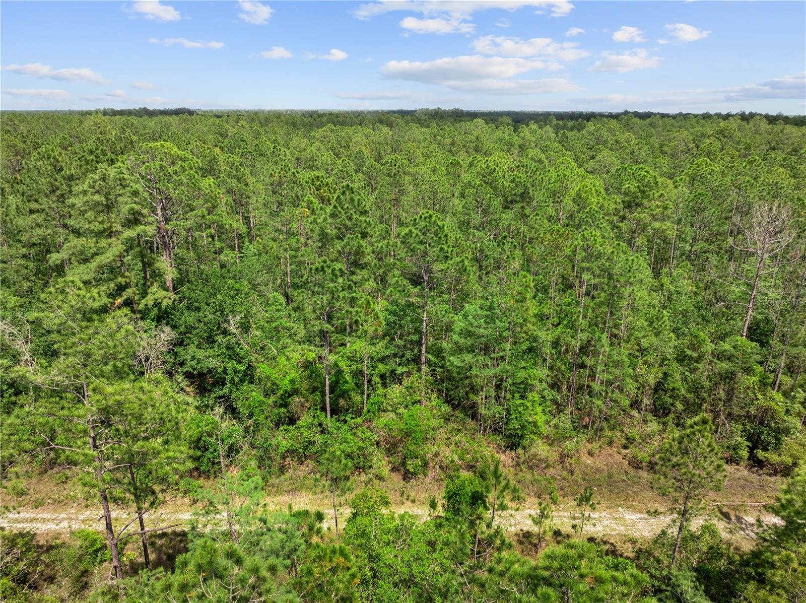 Details for Crotty Avenue, HASTINGS, FL 32145