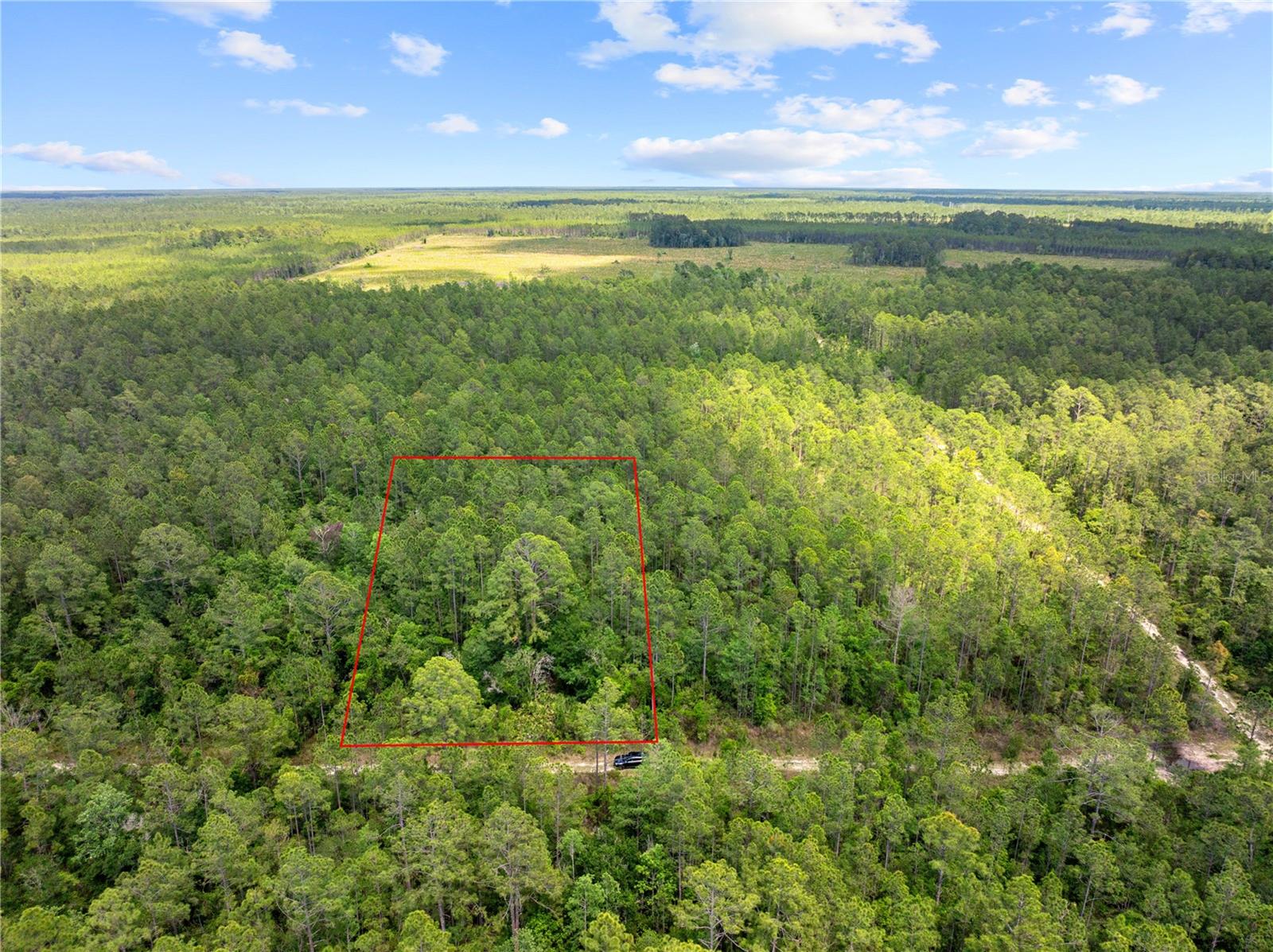 Listing photo id 8 for Crotty Avenue