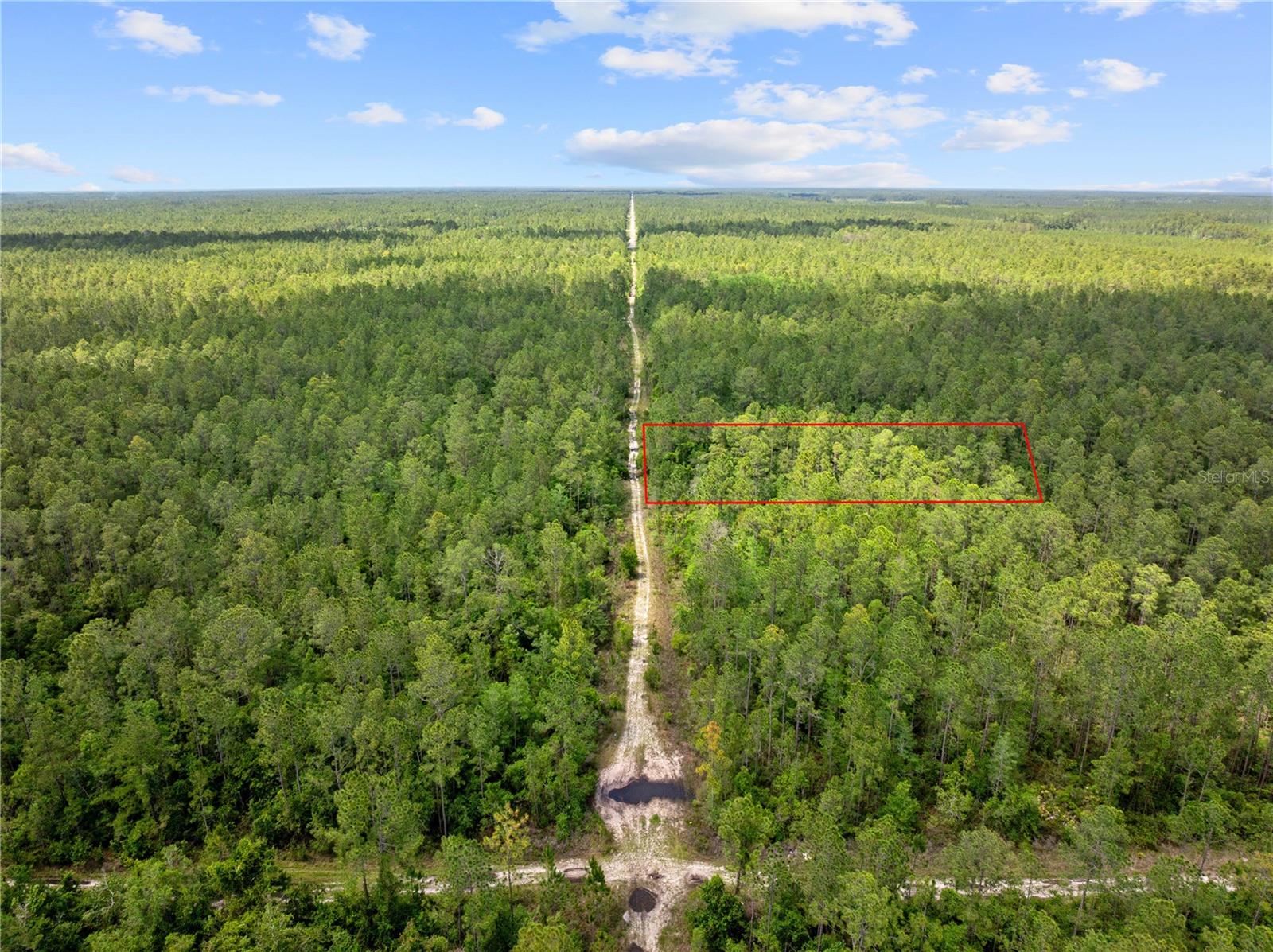 Listing photo id 9 for Crotty Avenue