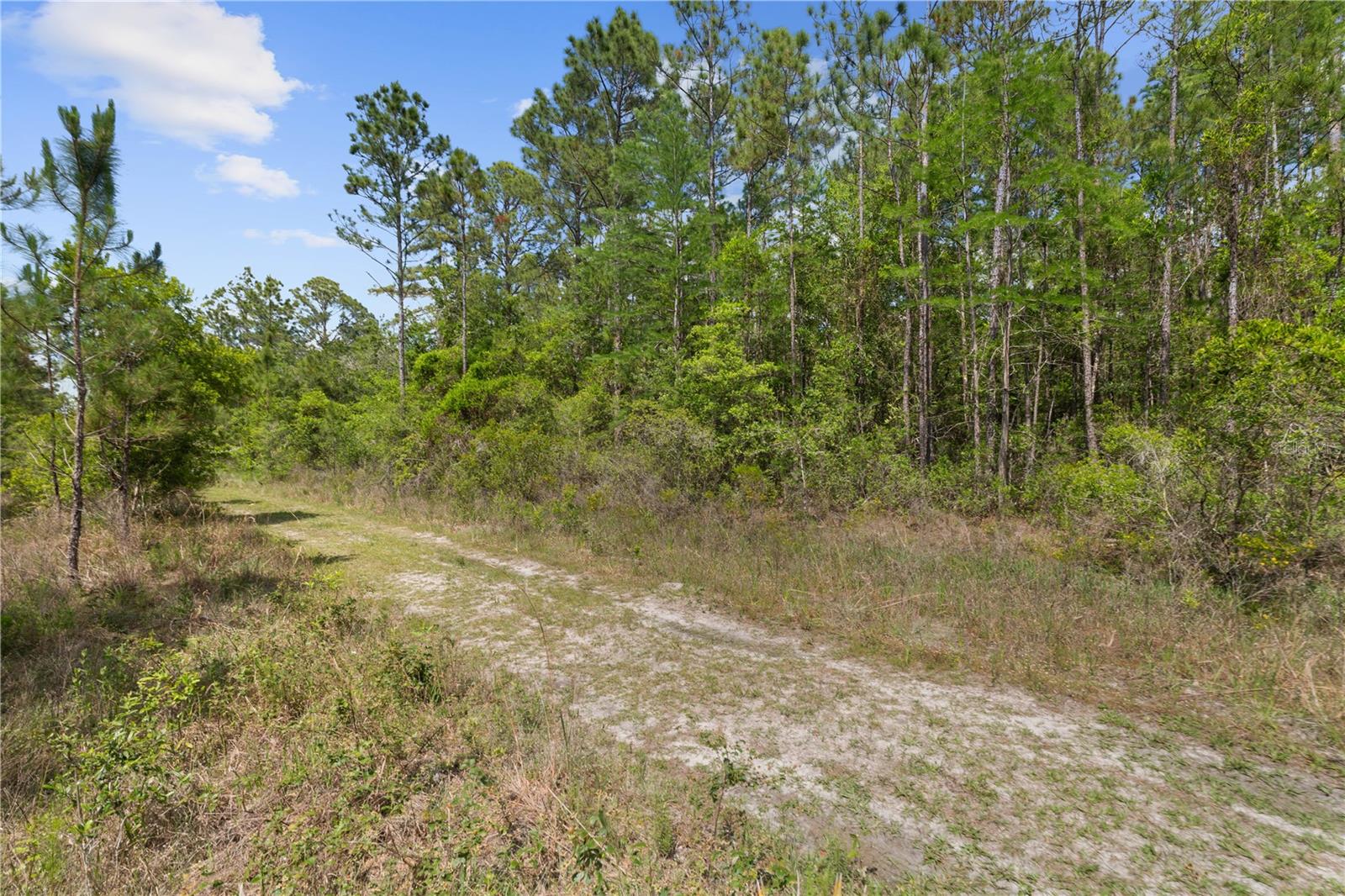 Listing photo id 1 for Crotty Avenue