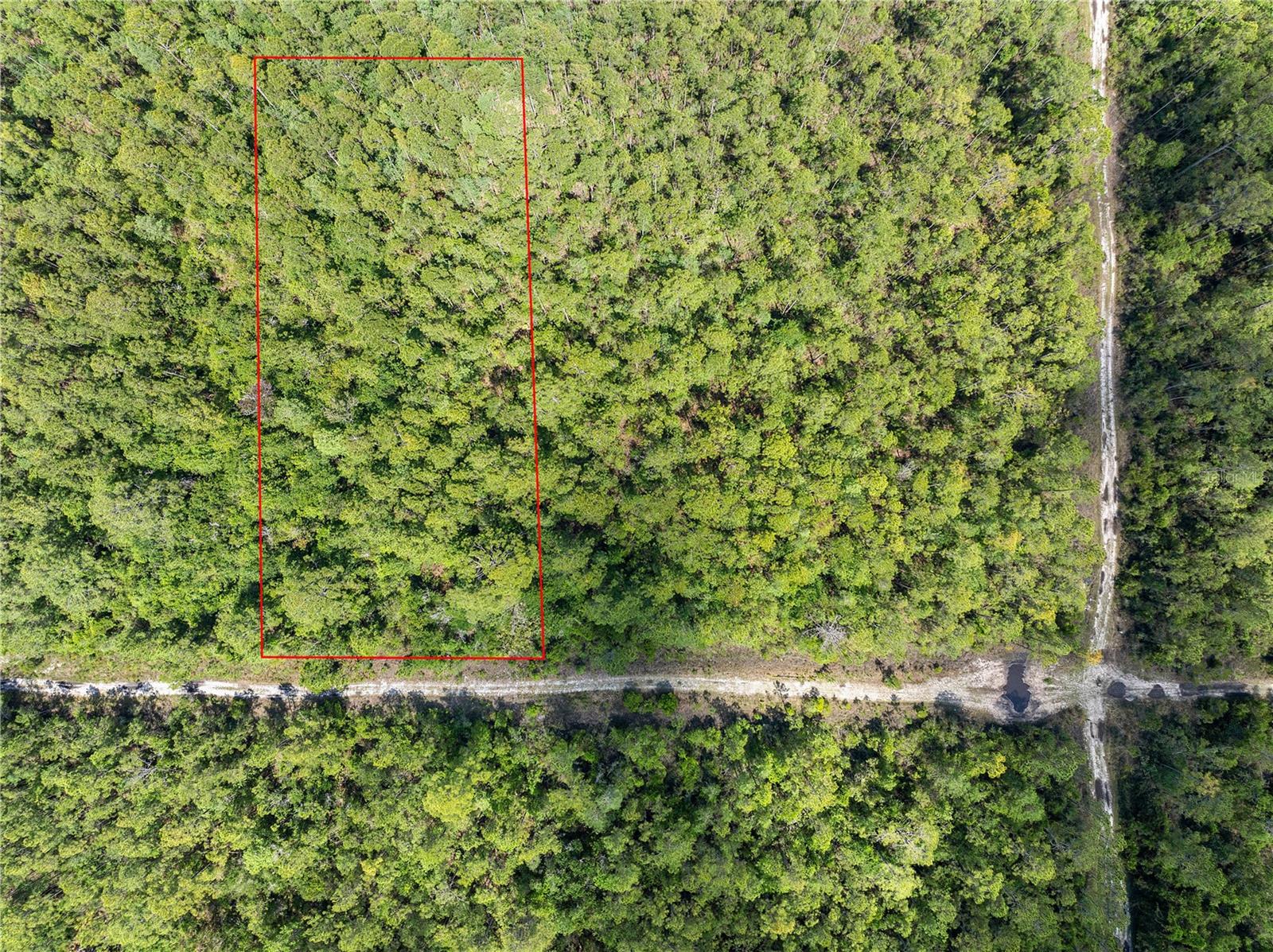 Listing photo id 2 for Crotty Avenue