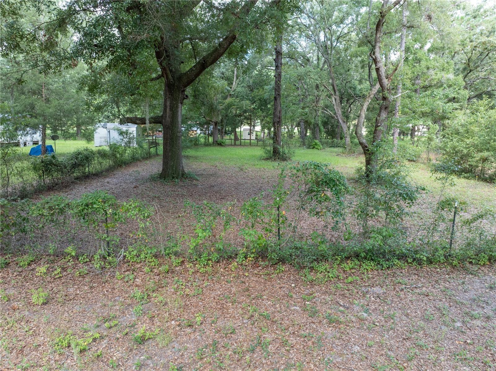 Image 16 of 21 For 214 Leonard Terrace