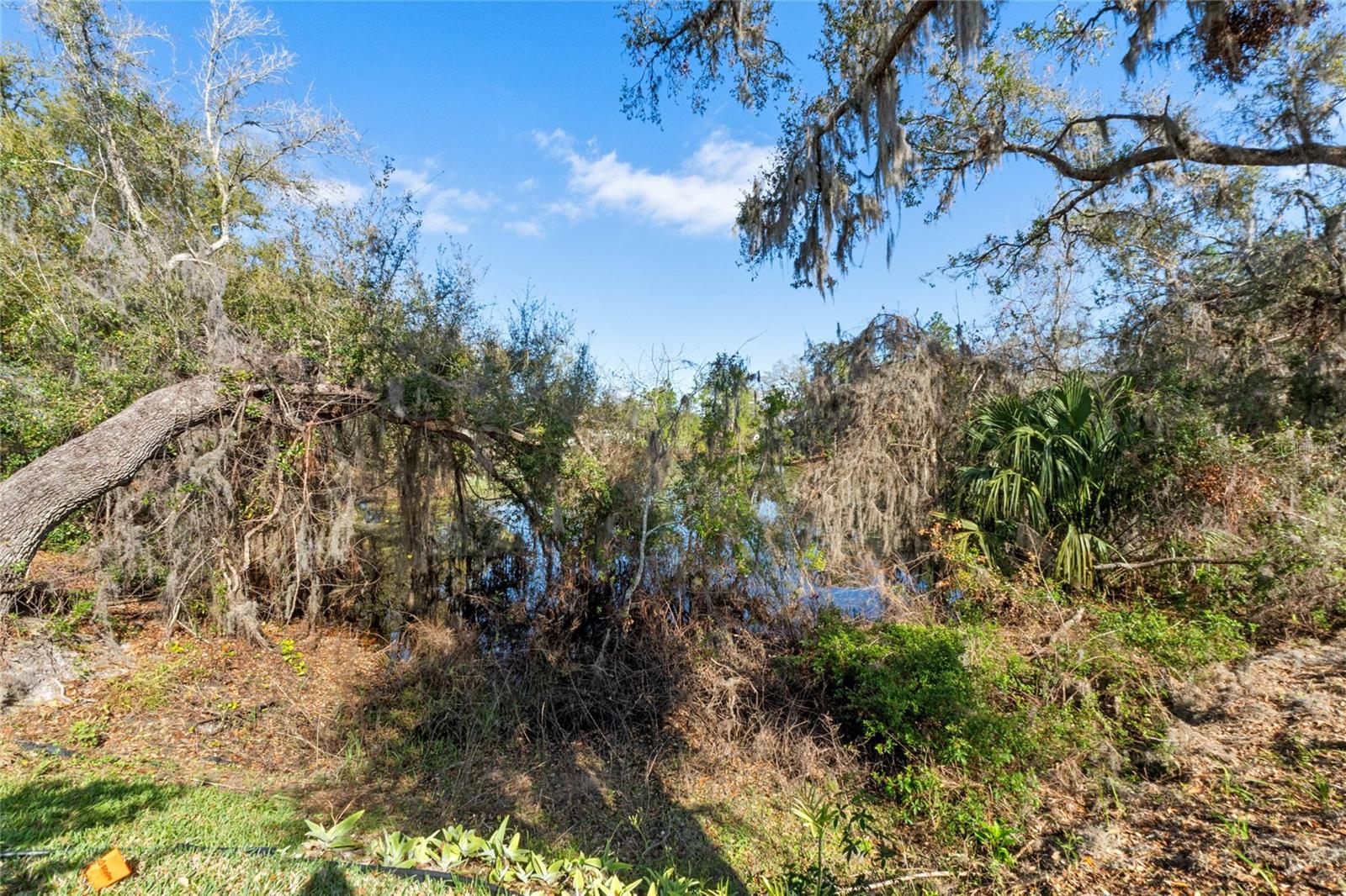 Image 29 of 42 For 5315 Meadow Song Drive