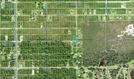 Details for 202 Orchid Drive, INDIAN LAKE ESTATES, FL 33855