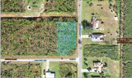 Image 5 of 8 For 202 Orchid Drive